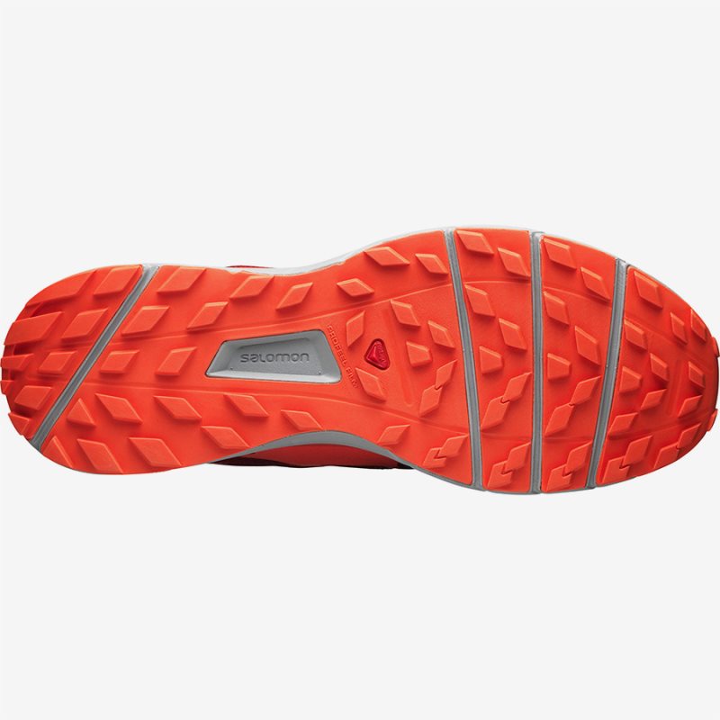 Vente Chaussure Salomon Trail Homme Salomon SENSE RIDE 2 Rouge